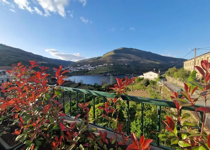 Casa Dos Avos - Folgosa Douro