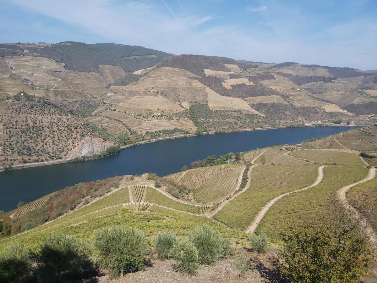 Casa Dos Avos - Folgosa Douro Folgosa (Armamar)