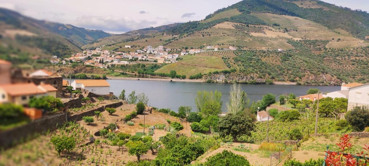 Casa Dos Avos - Folgosa Douro Holiday home Folgosa (Armamar)